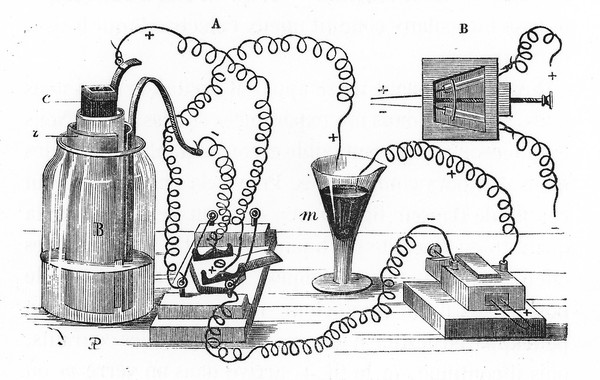 Lec̦ons sur la physiologie et la pathologie du système nerveux / par Claude Bernard.