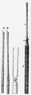 Lec̦ons sur la physiologie et la pathologie du système nerveux / par Claude Bernard.