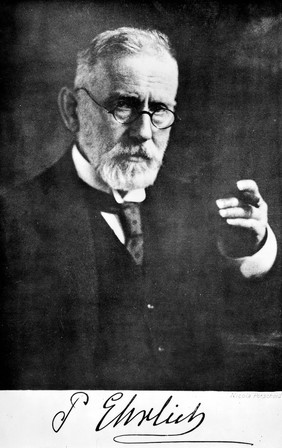 Portrait of Paul Ehrlich (1854-1915)