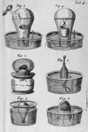 Tractatus quinque medico-physici / Quorum primus agit de sal-nitro et spiritu nitro-aereo. Secundus de respiratione. Tertius de respiratione foetus in utero, et ovo. Quartus de motu musculari, et spiritibus animalis. Ultimus de rhachitide [sic].