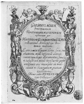 Gazophylacium polyplusium fonticulorum et setonum reseratum ... E quo variae illorum dotes, loca, instrumenta, modi infigendi diversi, conservandigue depromuntur. Simulque 4 tabulis non minus necessariis quam utilissimis aeri insculptis in medicorum et chirurgorum gratiam explicantur ... / [Matthias Ludwig Glandrop].