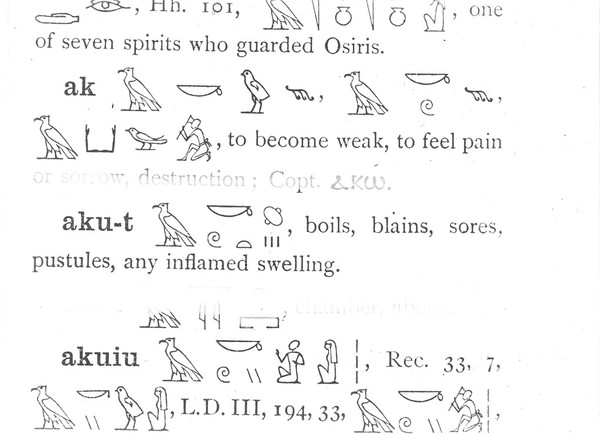 An Egyptian hieroglyphic dictionary : With an index of English words, king list and geographical list with indexes, list of hieroglyphic characters, Coptic and Semitic alphabets, etc / by Sir E.A. Wallis Budge.