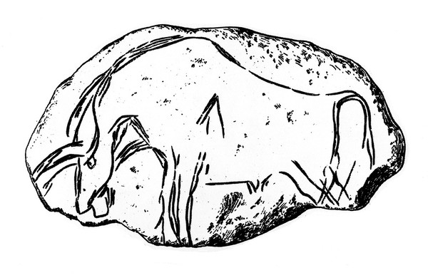 Magdalenian engraving on stone, showing wounded ox.