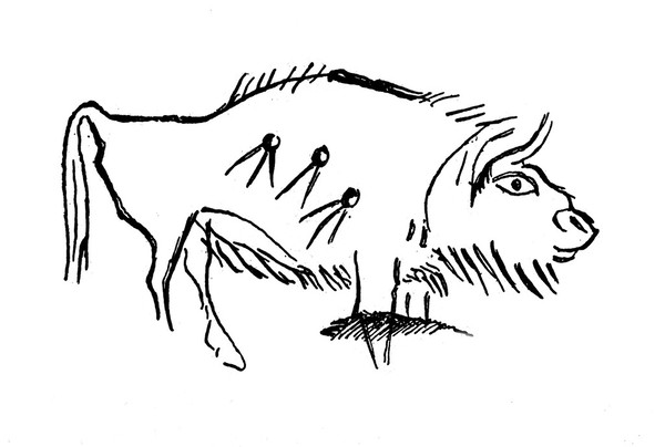 Magdalenian engraving of bison.