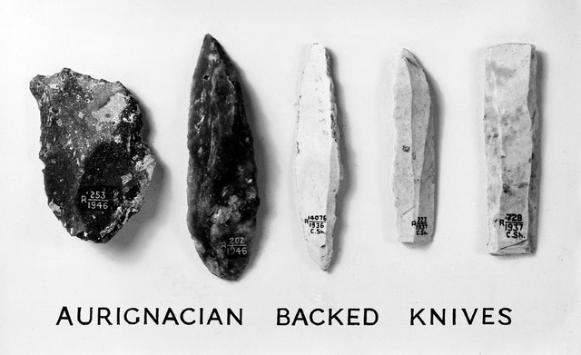 Aurignacian Backed Knives from Les Eyzies-de-Tayac, Chatelperron, La Croze-de-Tayac, and Laussel, Marquay, France