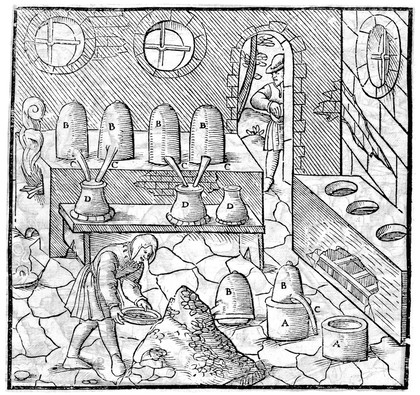 De re metallica libri XII. Quibus officia, instrumenta, machinae, ac omnia denique ad metallicam spectantia, non modo luculentissime describuntur, sed et per effigies ... adjunctis latinis germanicisque appellationibu ita ob oculos ponuntur, ut clarius tradi non possint. Ejusdem de animantibus subterraneis liber ... Cum indicibus diversis / [Georg Agricola].