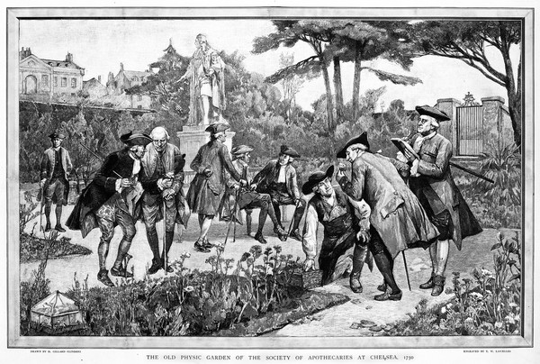 The Physic Garden, Chelsea: men botanizing in the garden, near the statue of Sir Hans Sloane, 1750. Wood engraving by T. W. Lascelles after H. G. Glindoni, 1890.