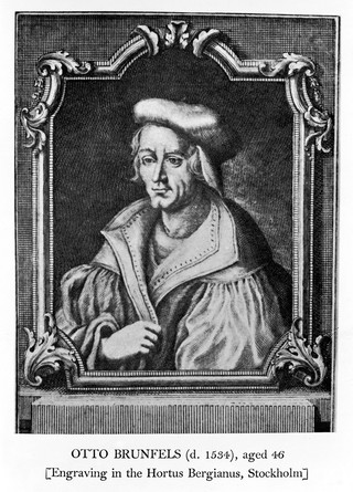 M0011877: Reproduction of a portrait of Otto Brunfels (d. 1534), German theologian and botanist, after the engraving in the Hortus Bergianus, Stockholm