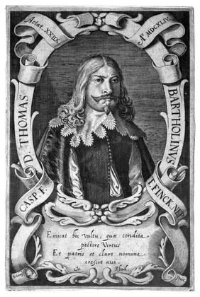 Thomas Bartholin. Line engraving by J. Georgi, 1644.