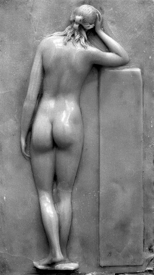 view German wax plaque showing the surface anatomy of the female: posterior view