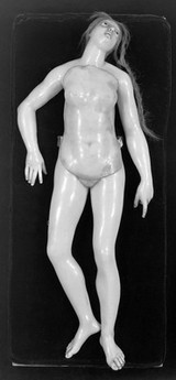 French female figure modelled in wax, with various parts movemable to reveal the structure beneath, complete figure photographed to show first movable parts