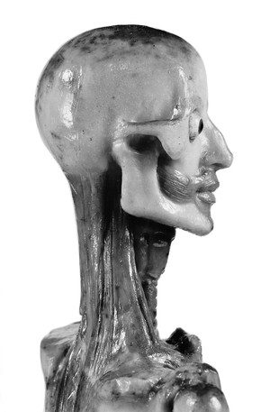 view Anatomical figure in wax, Italian, 18th century.