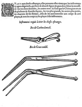 Forceps for the removal of foreign bodies. The upper one is termed 'Bac de Corbin dentele', the lower two 'Bac de Grue coulde'.