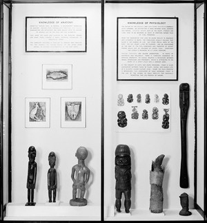 view Wellcome museum, primitive medicine: anatomy, 1946