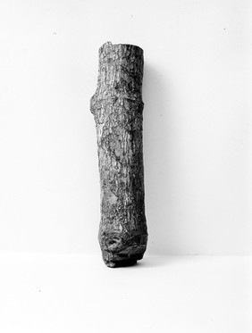 Wood from a species of strychnos.