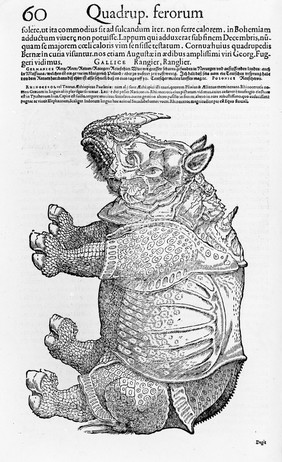 Icones animalium quadrupedum viviparorum et oviparorum quae in historia animalium / Conradi Gesneri libro primo et secundo describuntur, cum nomenclaturis singulorum latinis, graecis, italicis, gallicis et germanicis plerumque.