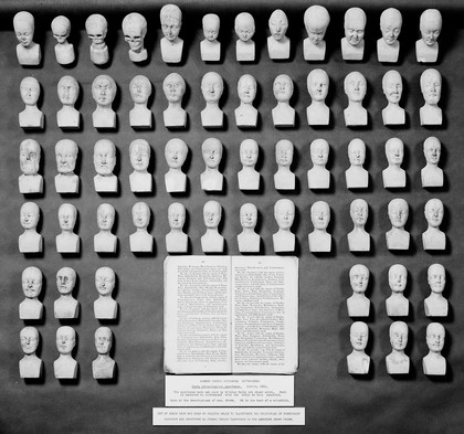 M0012482: Display of phrenology heads