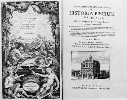 De historia piscium libri quatuor, jussu & sumptibus Societatis regiae londinensis editi. In quibus non tantum de piscibus in genere agitur, sed & species omnes, tum ab aliis traditae, tum novae & nondum editae bene multae, naturea ductum servante methodo dispositae, accurate describuntur. Earumque effigies, quotquot haberi potuere, vel ad vivum delineatae, vel ad optima exemplaria impressa; artifici manu elegantissime in aes incisae, ad descriptiones illustrandas exhibentur. Cum Appendice historias & observationes in supplementum operis collatas complectente. Totum opus recognovit, coaptavit, supplevit, librum etiam primum et secundum intergros adjecit Johannes Raius. E Societate regia / [Francis Willughby].