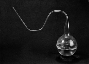 view Swan-necked flask used by Pasteur.