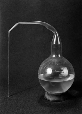 Flask used by Pasteur.