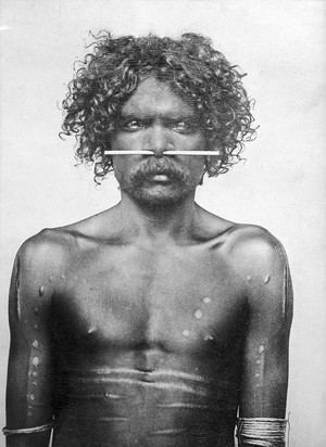 view Nose pin, Aboriginal, Northern Australia.