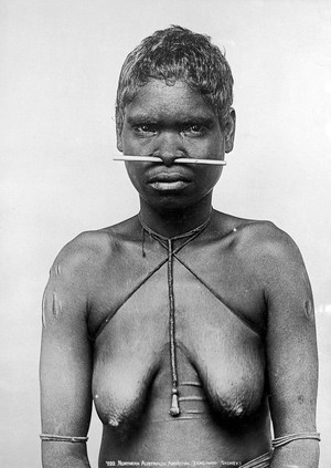 view Nose pin, Aboriginal, Northern Australia.