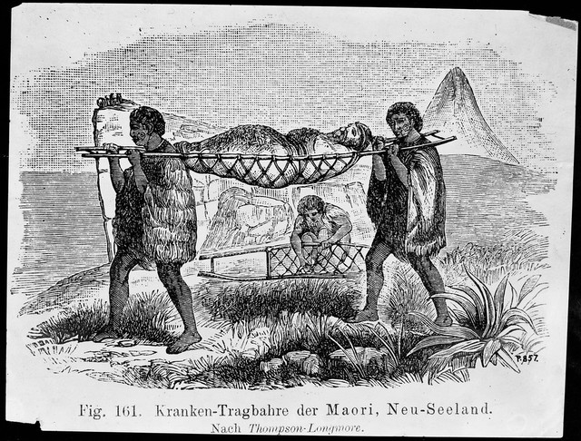 Die Medicin der Naturvölker : ethnologische Beiträge zur Urgeschichte der Medicin / von Dr. Max Bartels.