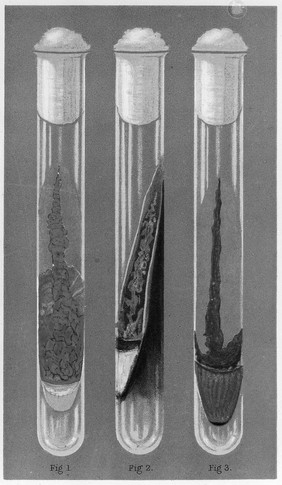 An introduction to practical bacteriology : based upon the methods of Koch / by Edgar M. Crookshank.