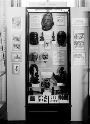 view Medicine of Aborigenal Peoples in the British Commonwealth Exhibition.