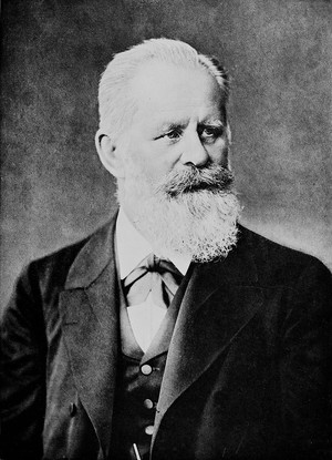 view C.W.H. Nothnagel, professor of medicine in Vienna from 1882.