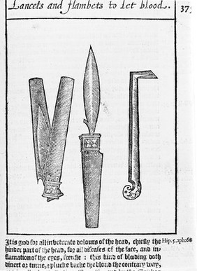 A discourse of the whole art of chyrurgerie. Wherein is exactly set downe the definition, causes, accidents, prognostications, and cures of all sorts of diseases ... Wherunto is added the rule of making remedies which chirurgions doe commonly use: with the Presages of divine Hyppocrates / [Peter Lowe].