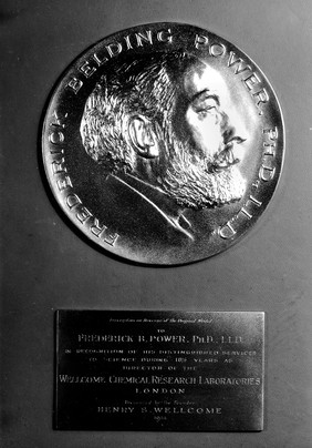 Medal presented by Wellcome to Power