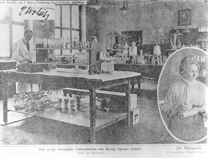 M0013278: Interior of the Georg Speyer-Haus laboratory