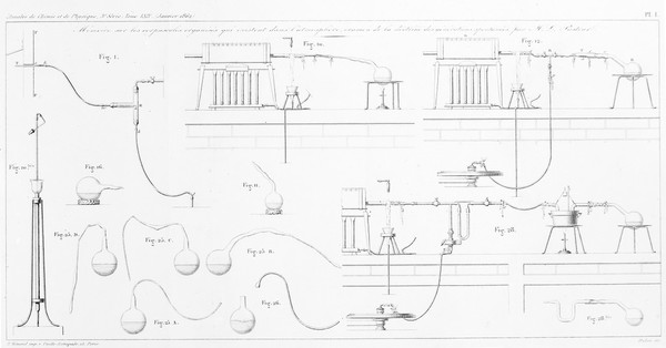 Apparatus used by Pasteur in experiments on alleged spontaneous generation.