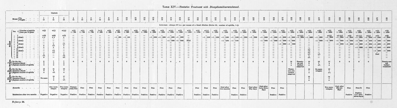 Results of the treatment of mice with '606' .