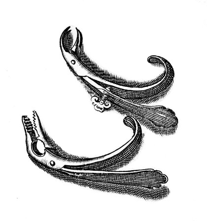 M0013407: Illustration of dental forceps.