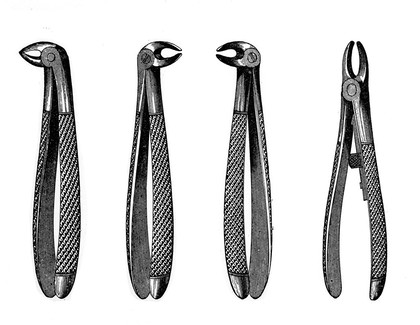 M0013428: Dental forceps, 19th century.