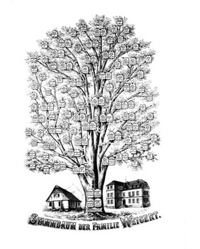 M0013459: Illustration of the family tree of the Weigert Family