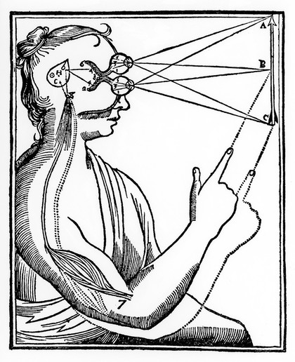 M0013487: Illustration, possibly depicting area and angle of sight
