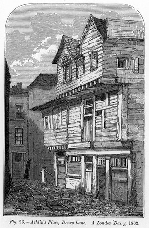 view A cowshed in Drury lane about 1850. About eight cows were kept in these premises in order to supply families in the nieghbourhood with milk. They were kept in almost complete darkness and so close together that they were almost touching. Some were even kept in the cellar.