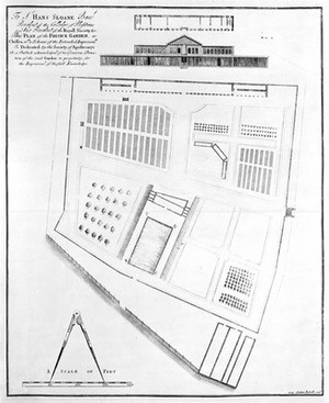 view Society of Apothecaries of London. Plan of improvements to Physic Garden, 1725.