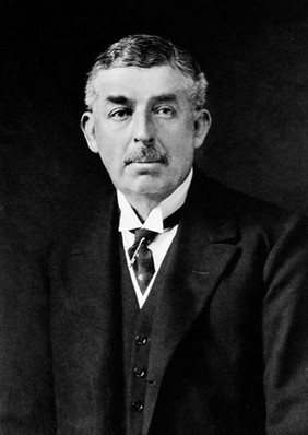 Portrait of Sir W.H. Willcox