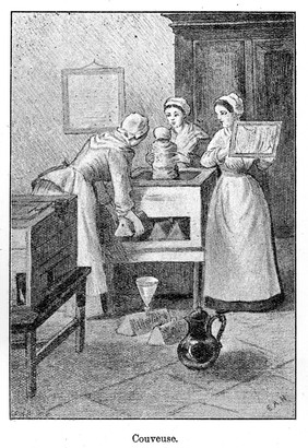 Tarnier incubator in use at the Maternite, Paris. Probably taken from Berthod, P. La couveuse et le gavage a la maternite de Paris, 1887.