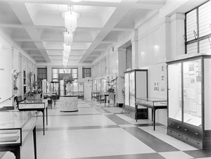 view M0013670: Wellcome Historical Medical Museum exhibition: Centenary of the birth of Paul Ehrlich, general view
