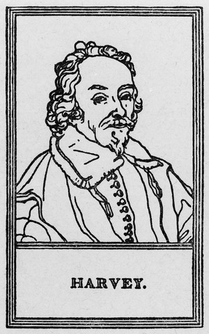 view Portrait of William Harvey [1578 - 1657], surgeon