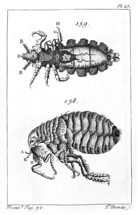 Micrographia illustrata, or, the knowledge of the microscope explain'd: together with an account of a new invented universal, single or double, microscope ... Also an account of the principal microscopical discoveries ... / To which is added a translation of Mr. Joblott's observations on the animalcula ... and a very particular account of ... the fresh water polype, translated from the French treatise of Mr. Trembley.