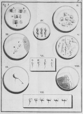 Opuscules de physique, animale et végétale / par mr. l'abbé Spallanzani ... Augmentés de ses expériences sur la digestion de l'homme et des animaux, traduits de l'Italien par Jean Senebier ... On y a joint plusieurs lettres relatives à ces opuscules écrites à mr. l'abbé Spallanzani par Mr. Charles Bonnet, et par d'autres naturalistes célebres.