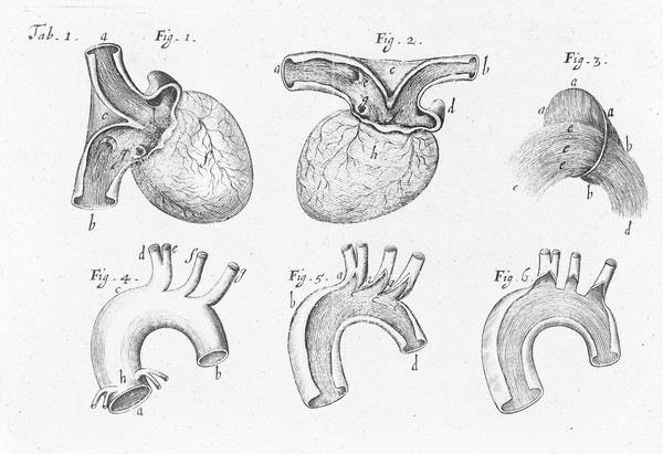 Tractatus de corde. Item de motu & colore sanguinis, et chyli in eum transitu : Cui accessit dissertatio de origine catarrhi, in qua ostenditur illum non provenire à cerebro / authore Richardo Lower.