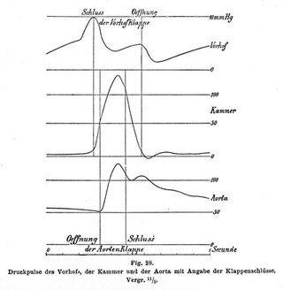 Pulse traces; recordings.