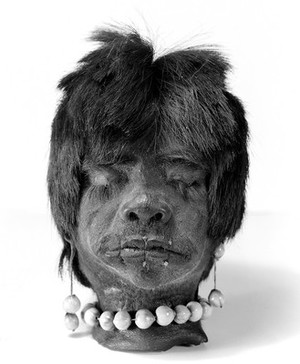 view A shrunken head, Jivaro Indian, Ecuador, S.America. Short hair, necklet and ear pendants of coix seeds. Lips sewn together, no threads hanging.